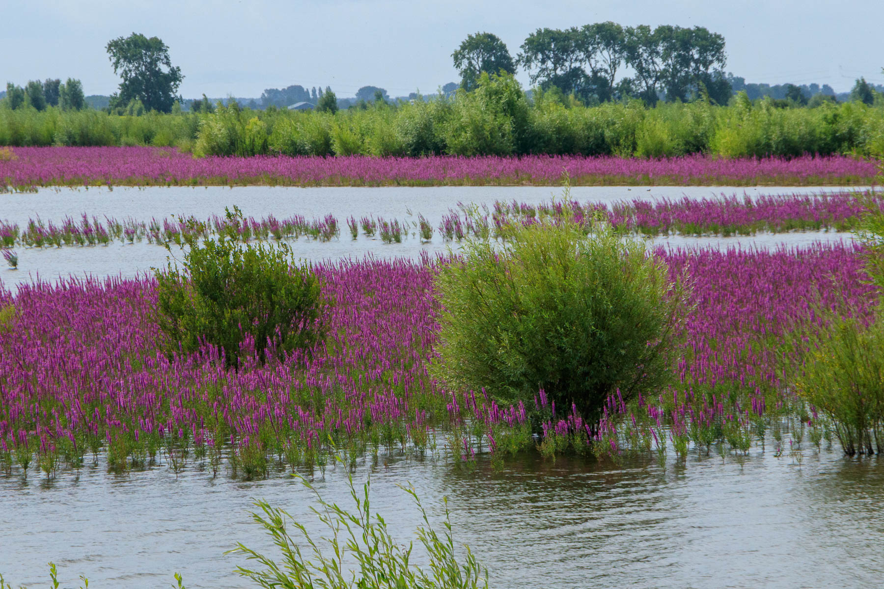 Tiengemeten Har Van Der Zee Fotografie