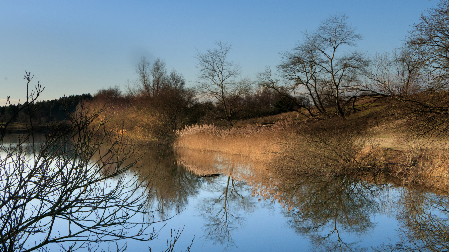 Amsterdamse Waterleiding Duinen - Har Van Der Zee - Fotografie